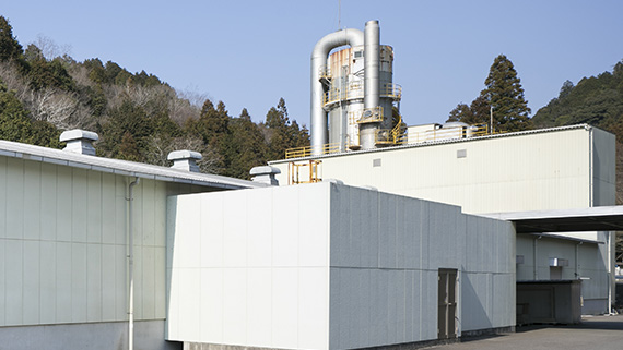 Kani Plant